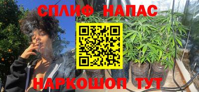 дурь Заводоуковск