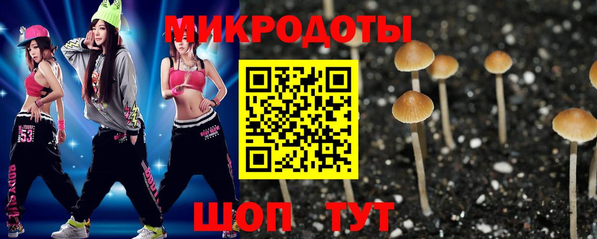 Галлюциногенные грибы ЛСД  Вход с VPN  Малгобек  Псилоцибиновые грибы Psilocybe 